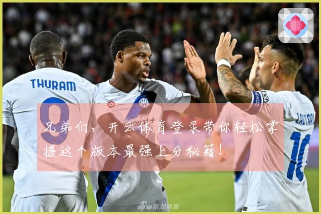 兄弟们，开云体育登录带你轻松掌握这个版本最强上分秘籍！