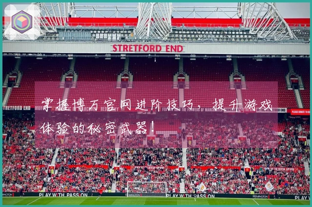 掌握博万官网进阶技巧，提升游戏体验的秘密武器！