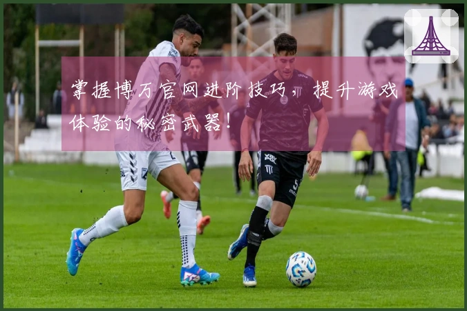 掌握博万官网进阶技巧，提升游戏体验的秘密武器！