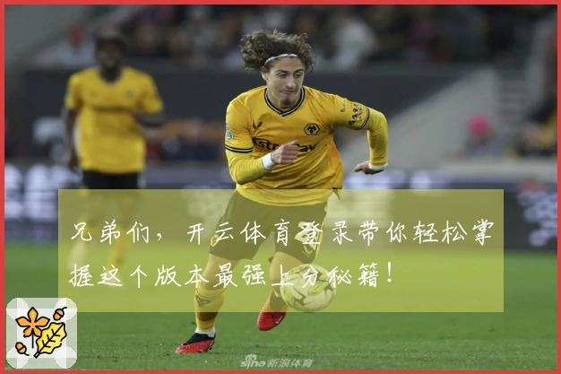 兄弟们，开云体育登录带你轻松掌握这个版本最强上分秘籍！