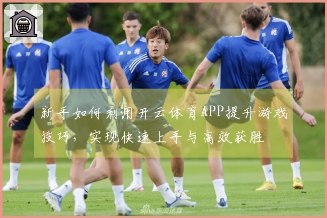 新手如何利用开云体育APP提升游戏技巧,实现快速上手与高效获胜
