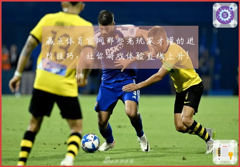 赢点体育官网那些老玩家才懂的进阶技巧，让你游戏体验直线上升！
